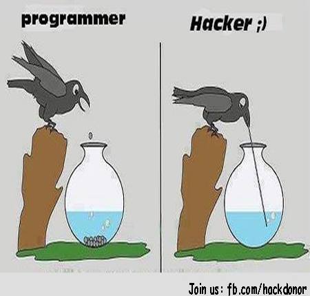 Programmer Vs. Hacker